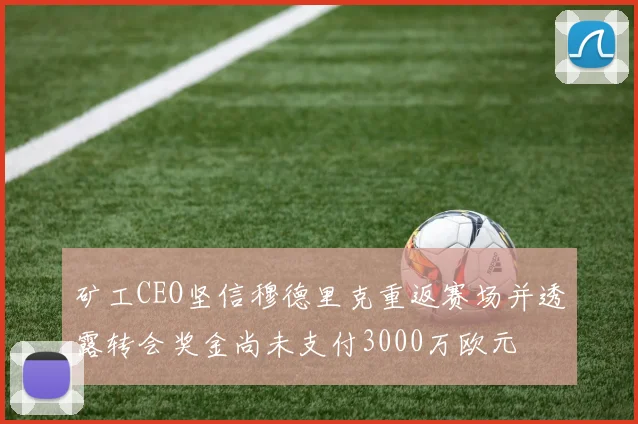 矿工CEO坚信穆德里克重返赛场并透露转会奖金尚未支付3000万欧元