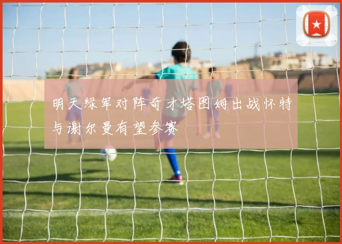 明天绿军对阵奇才塔图姆出战怀特与谢尔曼有望参赛