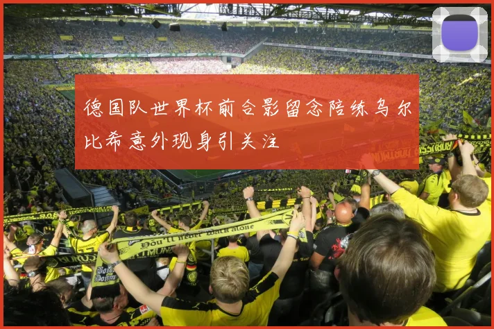 德国队世界杯前合影留念陪练乌尔比希意外现身引关注